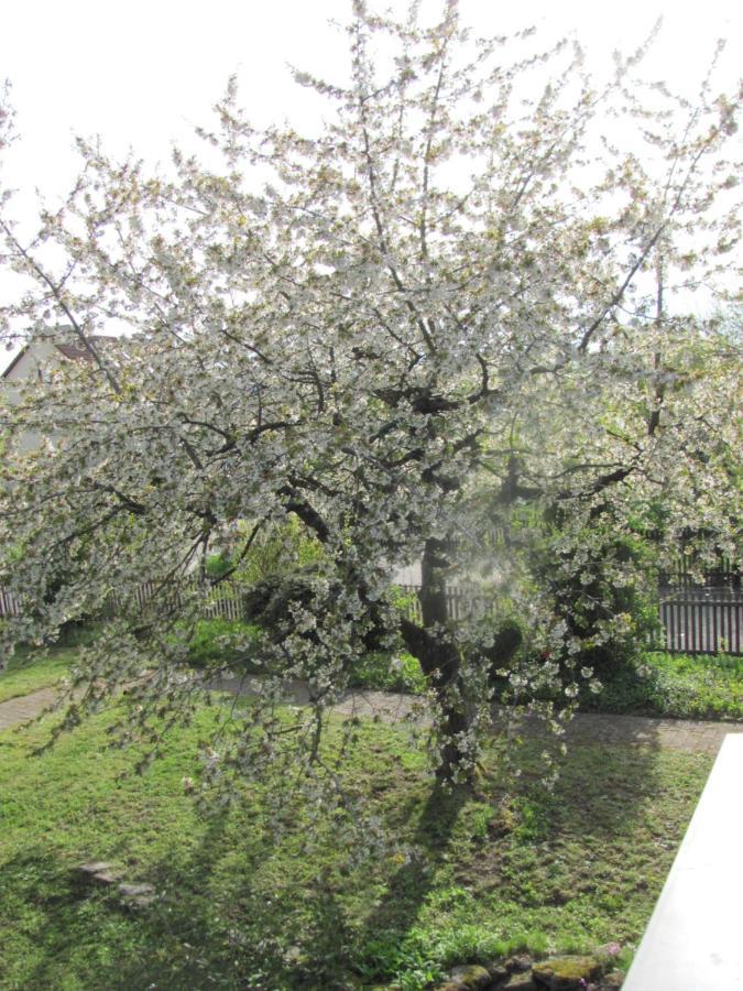 Hochwertiges Ferienhaus Im Romantischen Franken Colmberg Esterno foto
